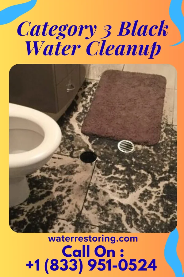Category 3 Black Water Cleanup in Platteville, CO